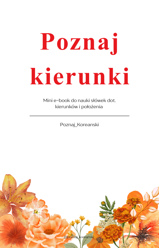 Mini ebook - kierunki, przyimki miejsca